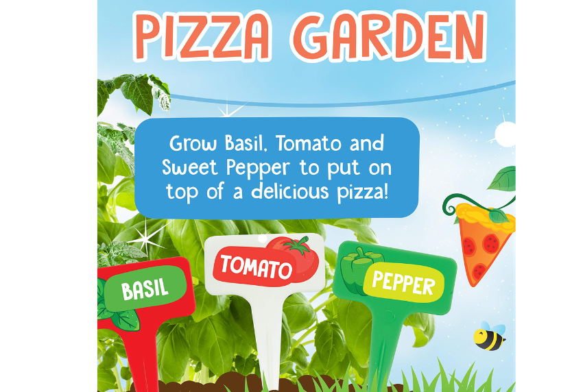 Picture of herb markers labeled tomato, basil and pepper. A picture of a  slice of pizza and a bee buzzing.