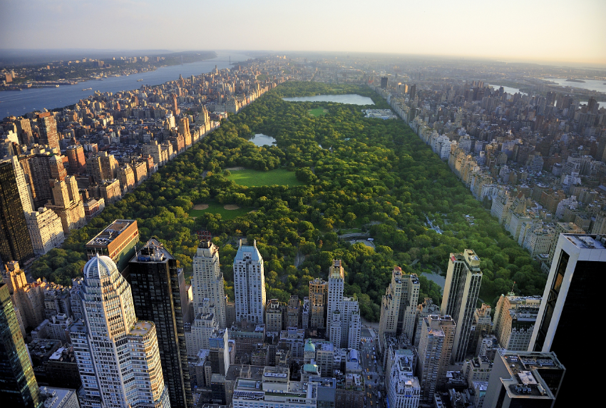 Top view of Central Park. 