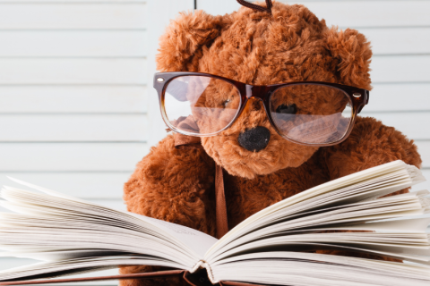 Teddy bear in glasses reading a book.