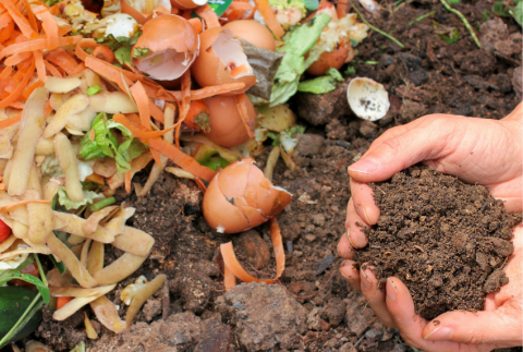 Hands holding soil surrounded by vegetable peels.