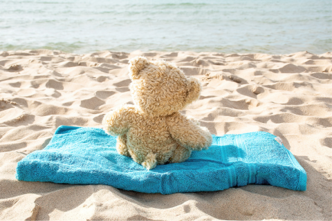 Teddy Bear on beach