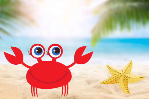 crab on beach