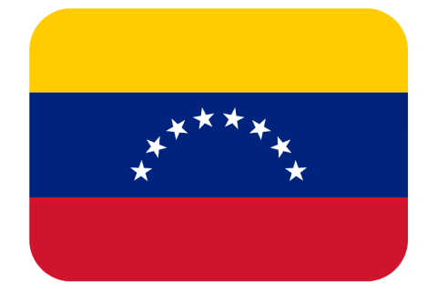 Venezuelan Flag