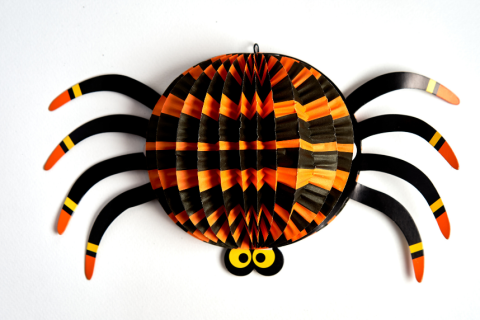 A paper spider craft