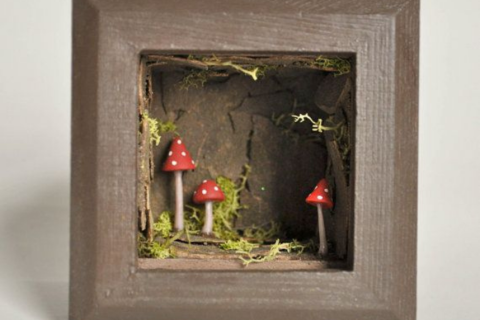 A shadow box filled with mushrooms