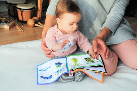 Baby reading book with adult