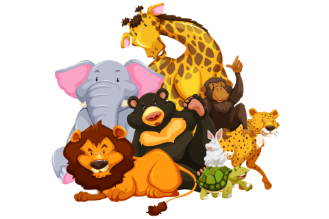 jungle animals