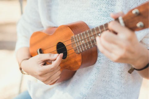 person playing Ukulele