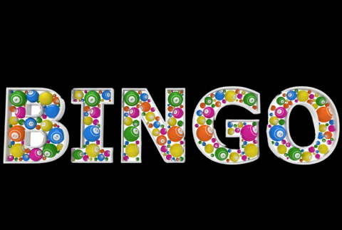 The word BINGO.