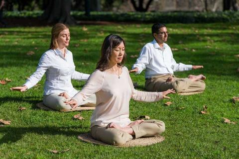 Three people sitting lotus position practicing Falun Dafa