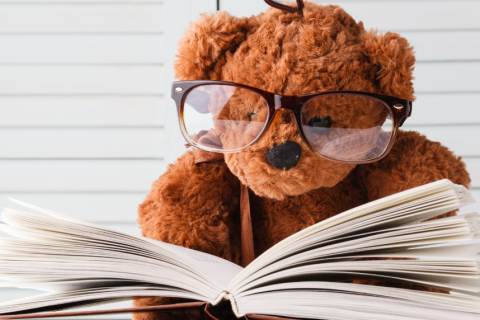 Teddy bear with glasses reading a book