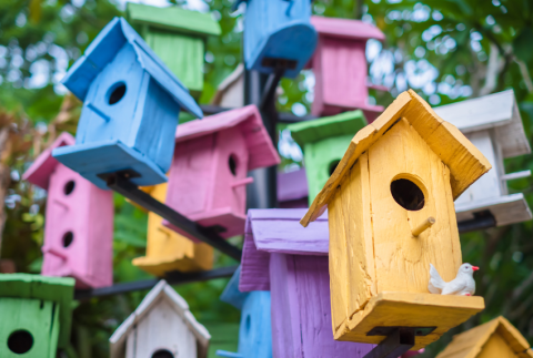 Bunch of colorful birdhouses in a tree. 