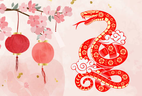 Cherry blossoms, lanterns and a snake. 