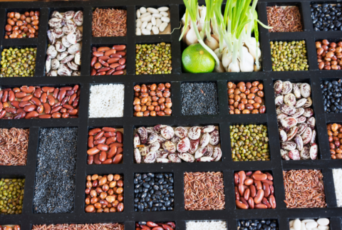 Top view of seeds. 