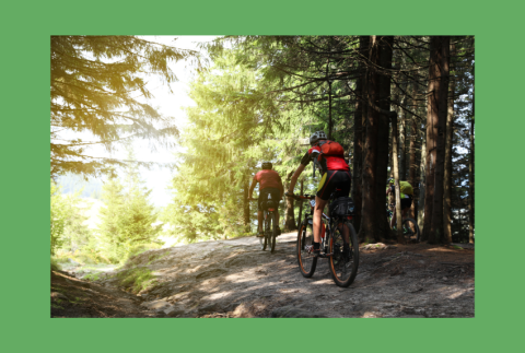 Bicyclist on a trail. 