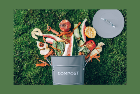 Top view of compost bucket with food.
