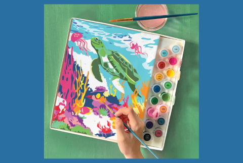 Top view of paint by number kit. 