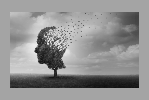 Side view of face as a tree with leaves blowing away.