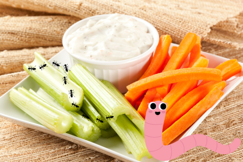 Celery, carrots, ants, and a worm