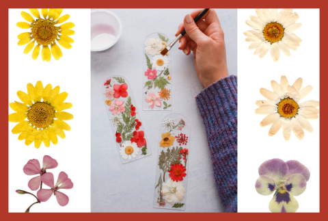 Top view of flowers pressed into a bookmark.