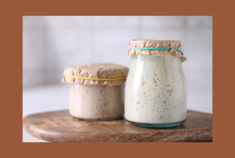 Two jars of sourdough starter. 