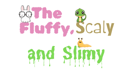 image with text saying "The Fluffy, Scaly, and Slimy" Fluffy pink lettering with a rabbit, scaly brown lettering with a snake and slimy green lettering with a slug.