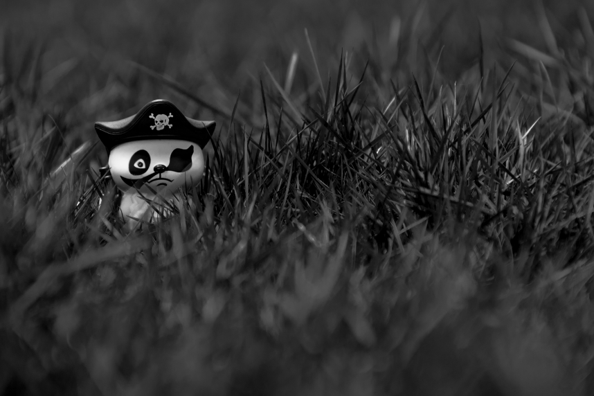 pirate toy in grass