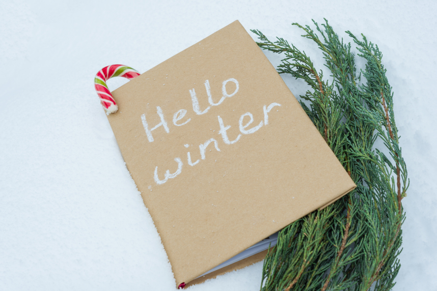 scrap book and plant in snow