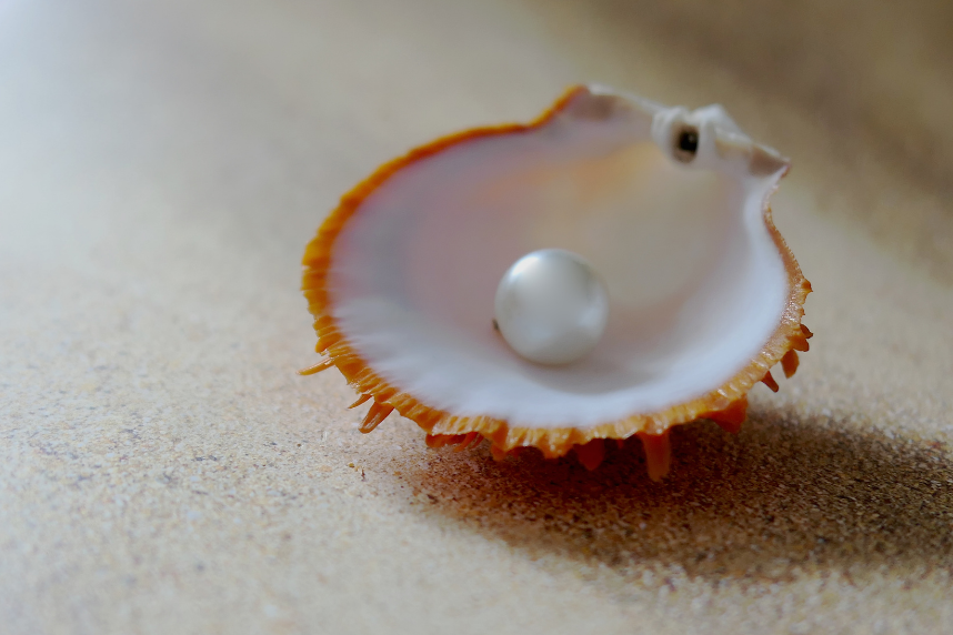 A single pearl sitting it half of a clam shell.