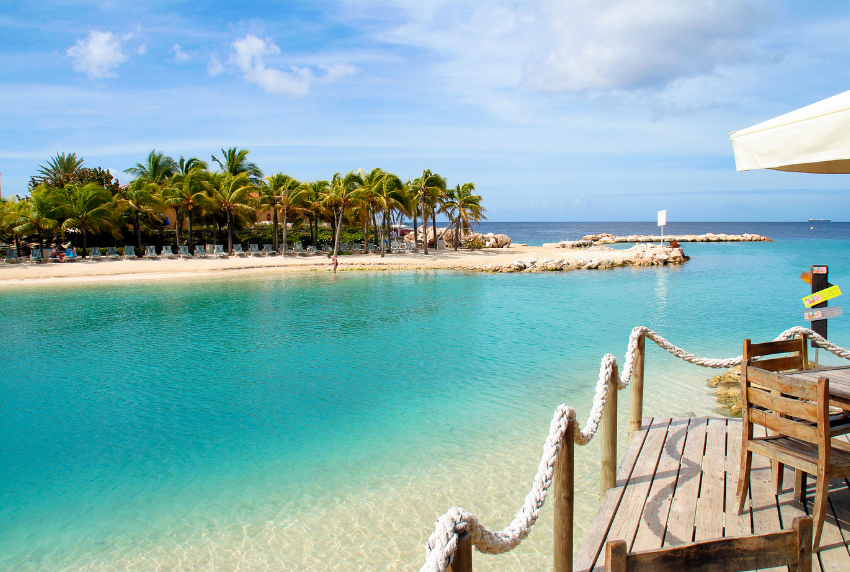 Palm trees on island surrounded by water.