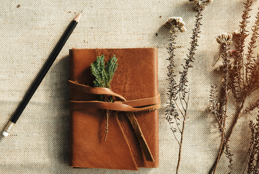 Top view of a pencil and journal, with some herbs to the side.