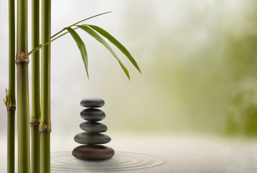 Bamboo and stack of rocks.