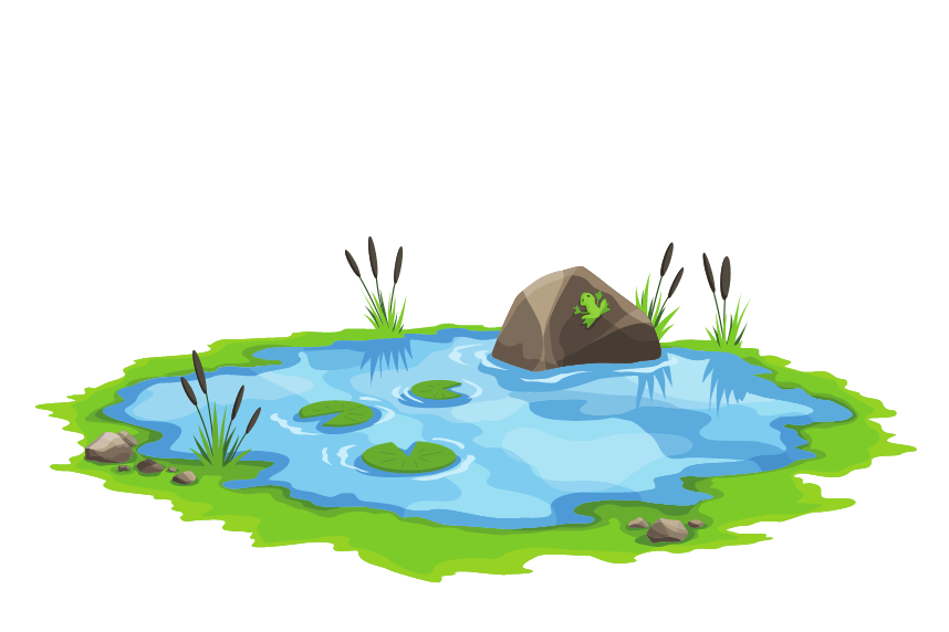 Pond