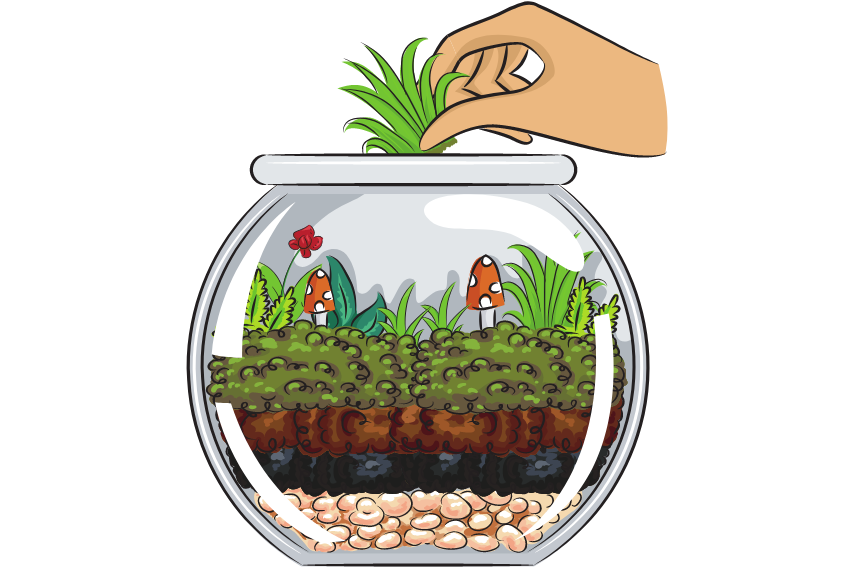 terrarium