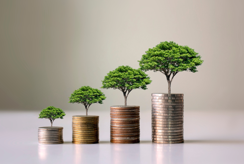 Stack of coins larger in length with a tree behind each one.