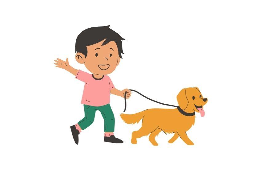 Child walking a dog