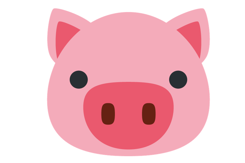 Pig