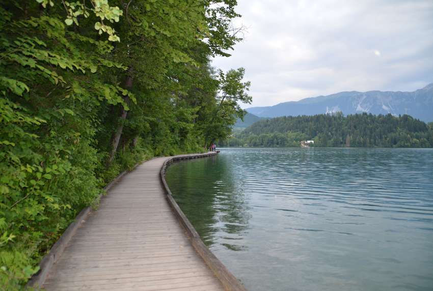 Picture of trees next to a path along a lake