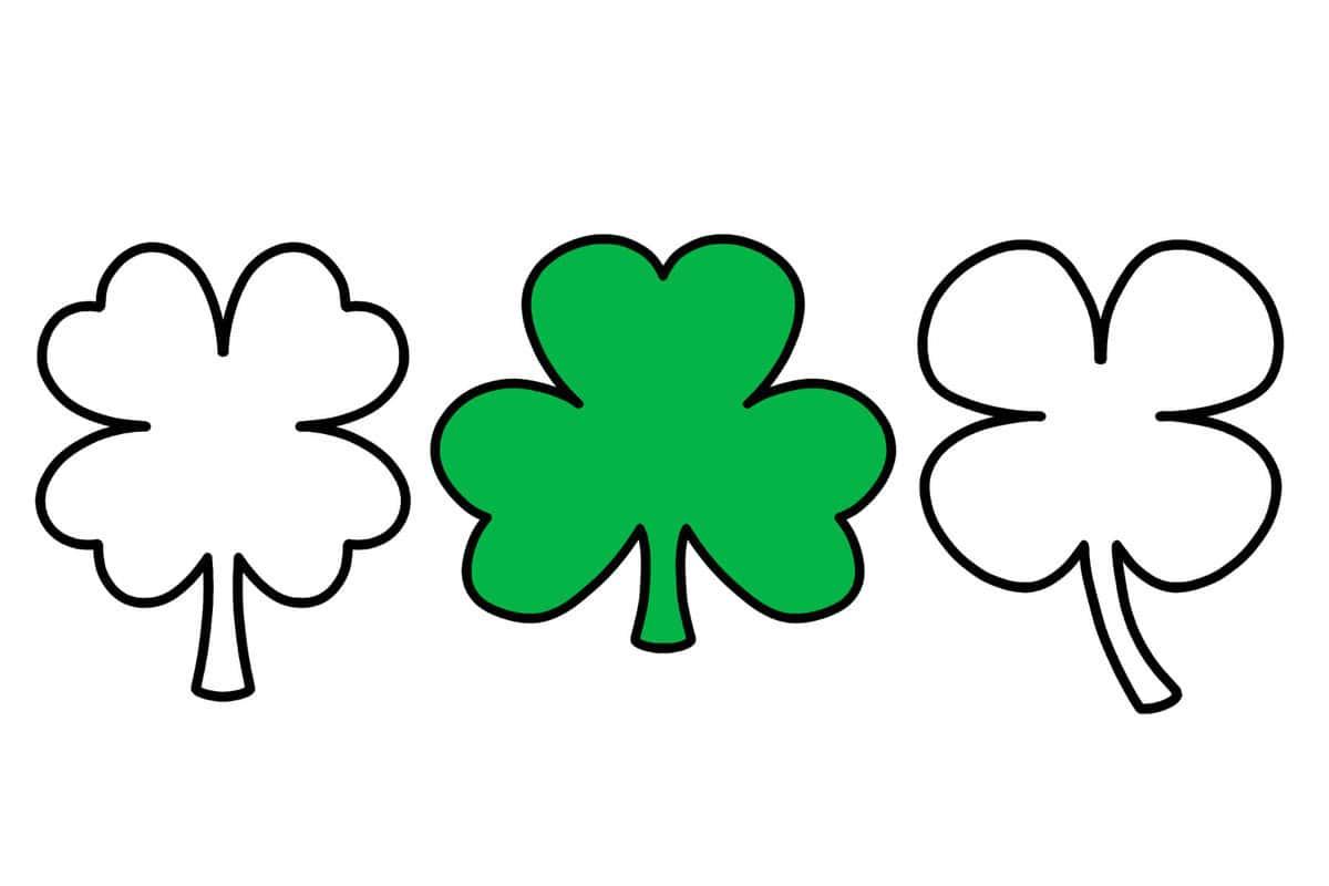 Picture of three shamrocks 2 white and one green