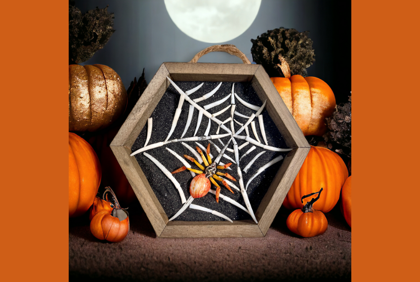 Spider craft made out of seashells. 