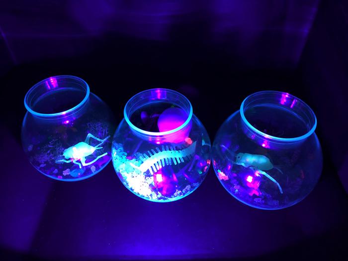 picture of three terrariums with rocks and glow in the dark ghosts