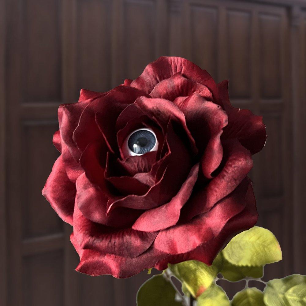 Picture of a rose with an eyeball in the center
