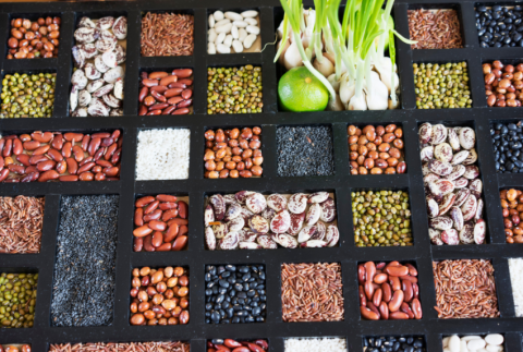 Picture of different seeds in a tray