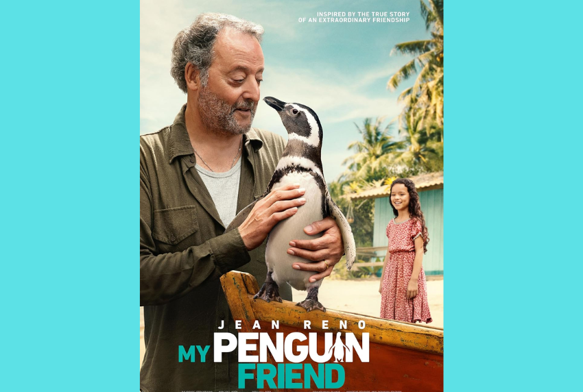 DVD cover for movie.